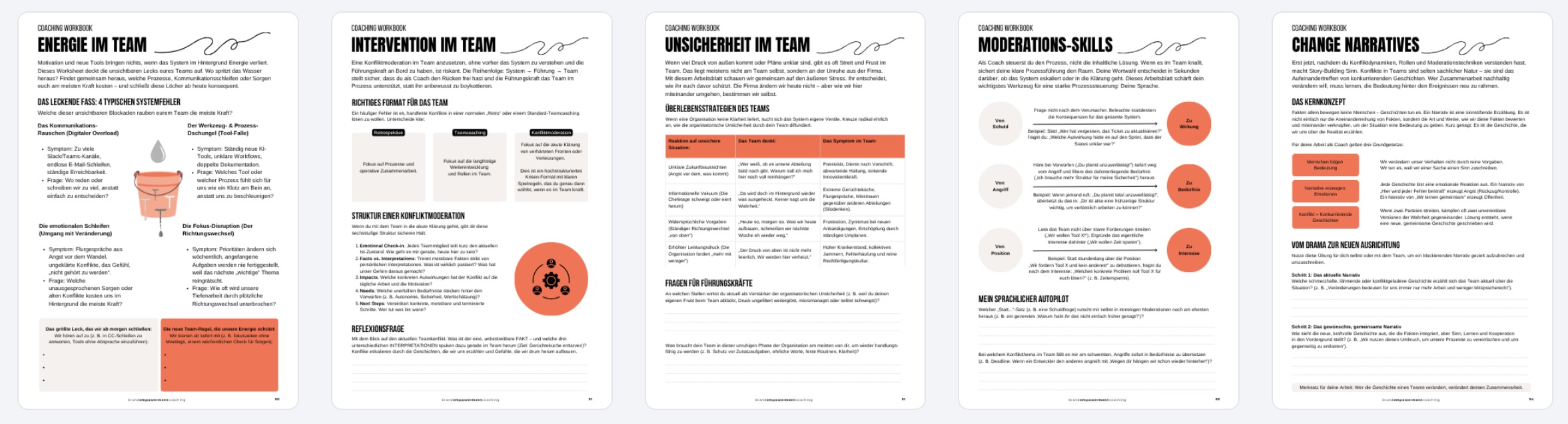 Seitenbeispiele aus dem Workbook zu Organisationen und Teamdynamiken